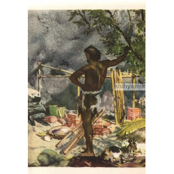 Daniel Defoe, Josef V. Pleva - Robinson Crusoe