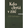 J. D. Salinger - Kdo chytá v žitě