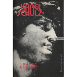 Karel Schulz - Kámen a bolest