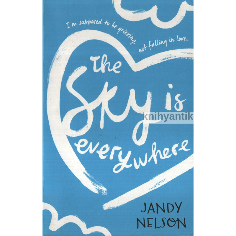 Jandy Nelsonová -  The Sky Is Everywhere