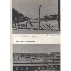 Buchenwald varuje Dokumenty, vzpomínky, svědectví